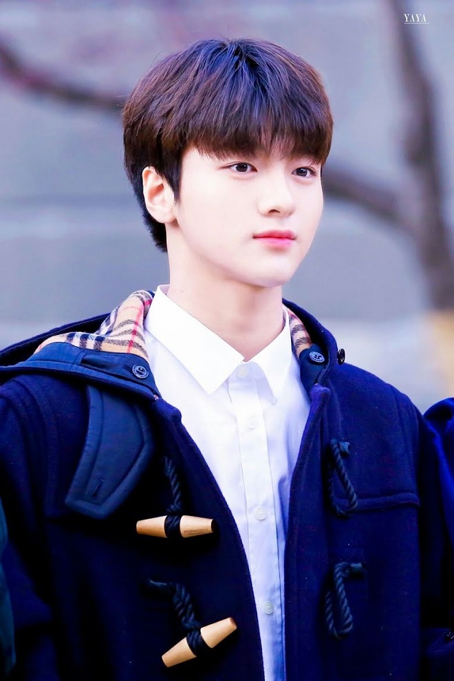 BTS, TXT, NCT, Seventeen, Kpop, BTS tin tức, BTS thành viên, Jungkook, Joshua