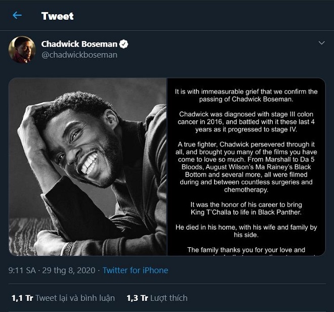 Chiến binh Báo Đen, Black Panther, Chadwick Boseman, qua đời, mất, ung thư, ung thư ruột