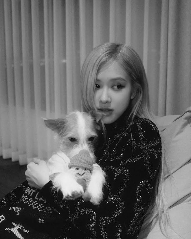 Blackpink, Rosé Blackpink, Rosé, Rosé trong bộ ảnh đen trắng mới, blackpink