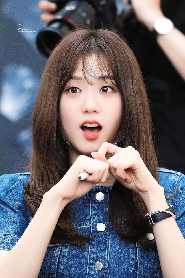 Blackpink, Jisoo, Lý do Jisoo Blackpink không uống rượu, Jennie, Born Pink
