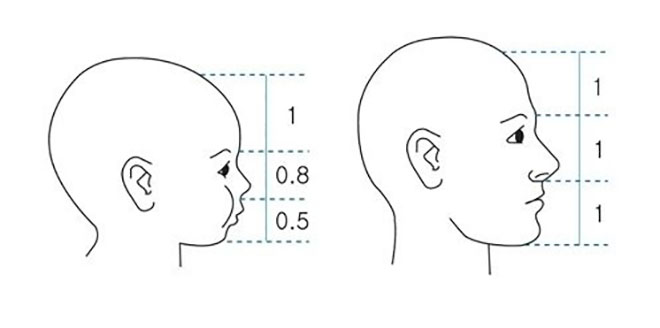 BTS, Jungkook, Đặc điểm của Jungkook khiến fan ghen, V BTS, Jimin, Suga, Jin