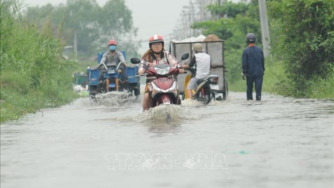 Chùm ảnh: Nhiều tuyến đường tại TP.HCM bị ngập do triều cường lên cao