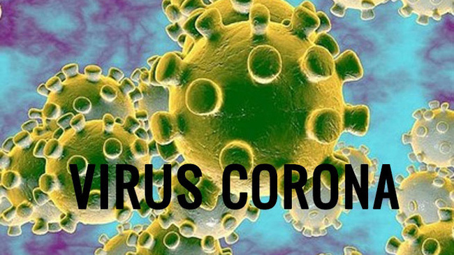 Thông tin mới nhất về dịch bệnh do virus corona đến 11h ngày 13/2: Việt Nam có 16 người dương tính với COVID-19