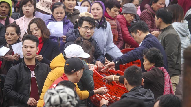 Hà Nội: Phóng sinh hơn 5 tấn cá xuống sông Hồng