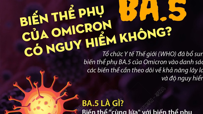 Biến thể phụ BA.5 khiến nhiều nước tăng số ca Covid-19; Việt Nam theo dõi chặt, thúc đẩy tiêm vaccine