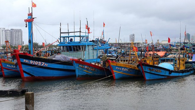 Ứng phó với bão số 1: Quảng Ngãi kêu gọi tàu, thuyền khẩn trương di chuyển ra khỏi vùng nguy hiểm