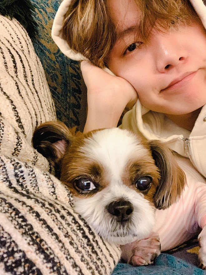 j-hope, bts, bts instagram, mickey j-hope, chó của j-hope, mickey và j-hope, j-hope family