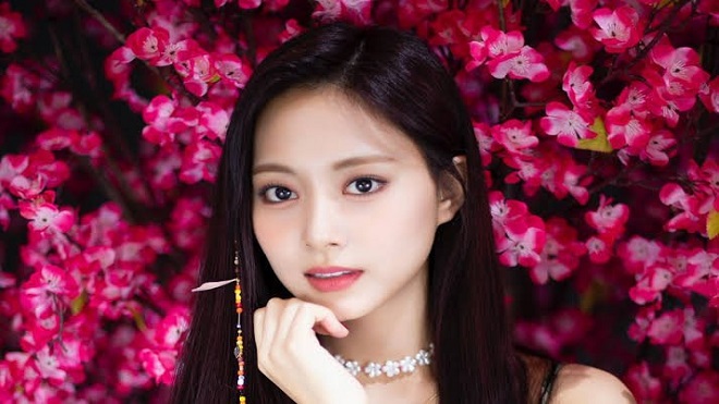 ONCE 'dậy sóng' vì Tzuyu Twice bị đối xử bất công dù nổi nhất nhì nhóm