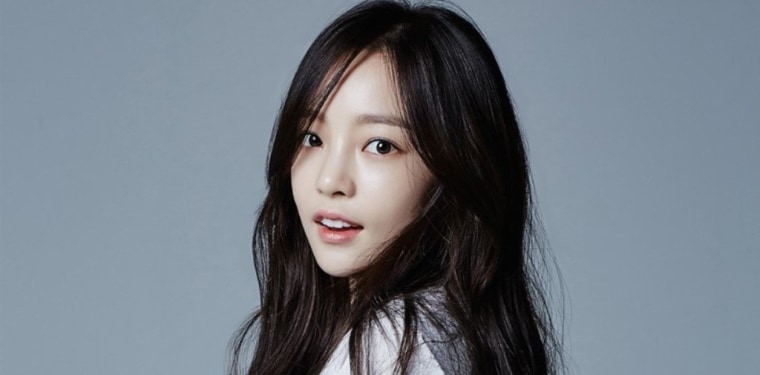 Goo Hara, Goo Hara tự tử, Goo Hara (KARA), Tài sản của Goo Hara, Bố mẹ Goo Hara, thừa kế tài sản