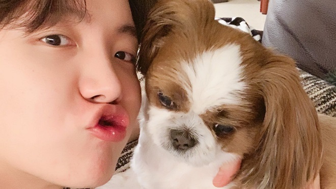 J-Hope BTS khăng khăng về tình cảm của thú cưng khiến ARMY cười nghiêng ngả