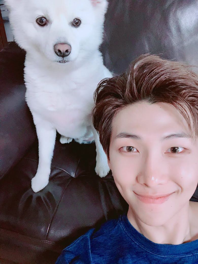 bts, cún cưng của bts, moni rm, rm dog, rapmon, bts dog, squid game, bts squid game, rapmon squid game, jungkook, jimin, v bts, jin, jungkook handsome, jungkook dog