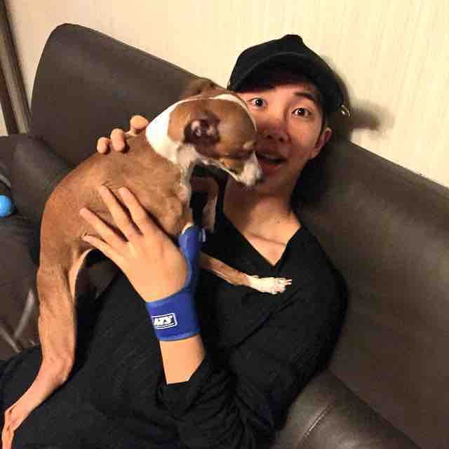 bts, rm bts, rm bts 2022, uncle namjoon, namjoon, rm bts dog, rm eaeon, jungkook, jin, jimin, v bts, jungkook sexy, jungkook handsome, jungkook cute, rm cute