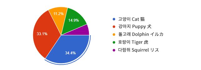 BTS, In The SEOM, Thú cưng BTS muốn mang vào In The SEOM, BTS pet, BTS thú cưng, Jin, Jimin, Jungkook, J-Hope, RM, Suga, V, BTS cute, Jungkook cute, Jimin cute