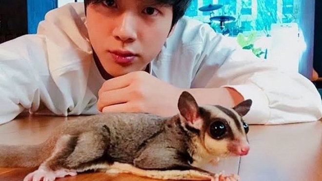 Sao Kpop có thú cưng siêu độc lạ: Jin BTS, Soobin TXT, Bambam GOT7