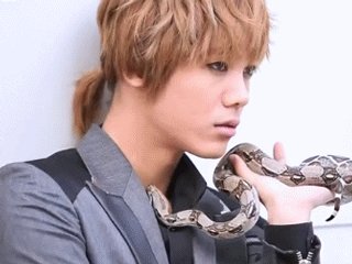 Kpop thú cưng độc lạ, BTS, Jin, thú cưng BTS, thú cưng của Jin BTS, BTS pet, GOT7, Bambam, TXT, Soobin, Taehyung, Hueng Kai, Mir, Yongseung, VeriVery, Yeojin, Loona