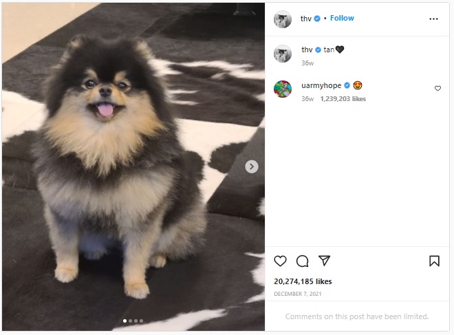 BTS, bài Instagram của BTS nhiều like nhất, BTS Instagram, Jungkook, Jin, Jimin, J-Hope, RM, Suga, V, Yeontan, BTS Instagram post most like, Jungkook Instagram