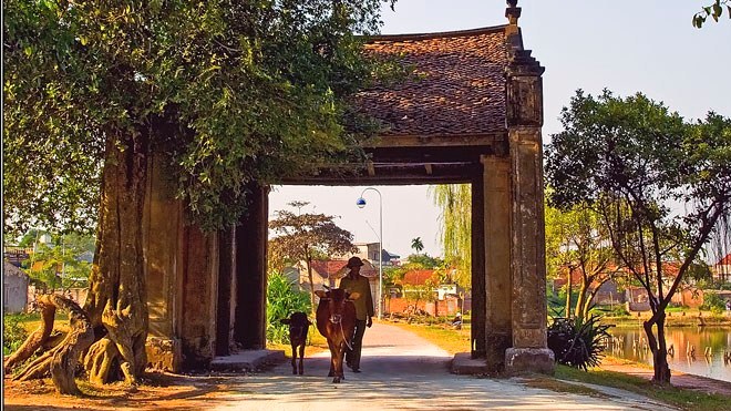 Bảo tồn làng cổ Đường Lâm: Giải bài toán hàng ngàn người đang sống trong di sản 