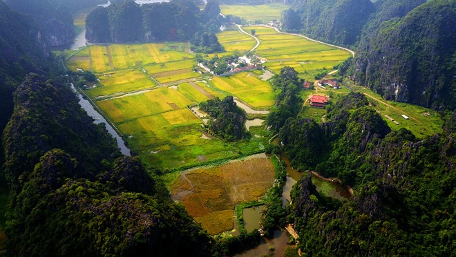 Địa điểm ngắm ‘Mùa vàng Tam Cốc’ đẹp nhất Ninh Bình