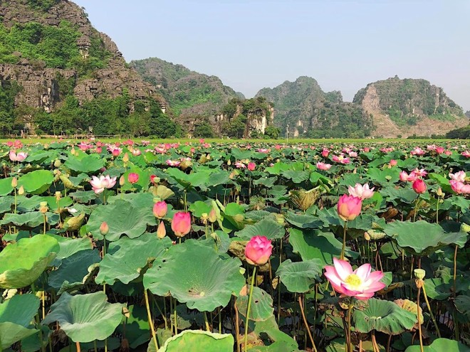 Hang Múa, Ninh Bình, Vạn Lý Trường Thành phiên bản Việt, sống ảo Ninh Bình