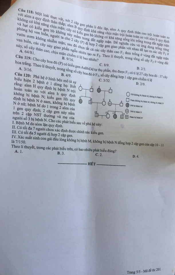 Đề thi sinh học, Đề thi sinh, Đề thi môn sinh, Đề thi sinh học thpt quốc gia 2020, Đề thi sinh học THPT Quốc gia năm 2020, Đề thi sinh học THPT Quốc gia, Đề thi môn sinh 