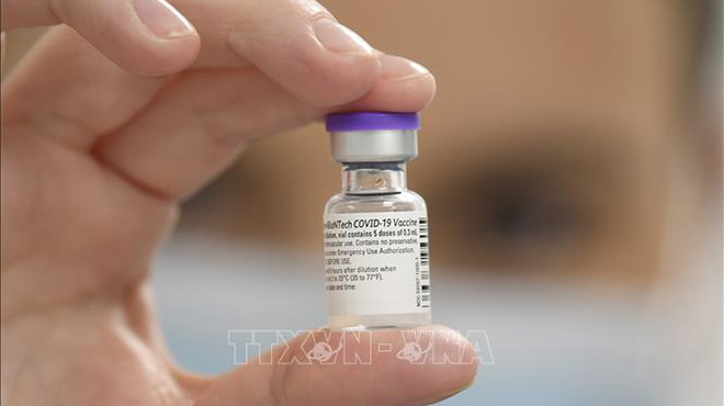 Vaccine ngừa Covid-19 của Pfizer/BioNTech hiệu quả 90,7% ở trẻ 5-11 tuổi