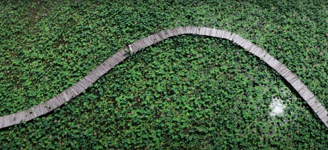 Hoàng Duyên, Hoàng Duyên là ai, MV Chàng trai sơ mi hồng, Ca sĩ Hoàng Duyên, Hoang Duyen, xem MV Chàng trai sơ mi hồng, MV Chang trai so mi hong, Hoang Duyen ca si, hoang duyen la ai