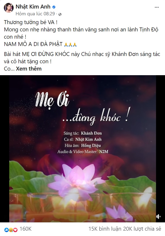 Bé gái 8 tuổi, bé gái bị bạo hành, bé Vân An, Nguyễn Kim Trung Thái, Nguyễn Võ Quỳnh Trang, Nhật Kim Anh, Mẹ ơi đừng khóc