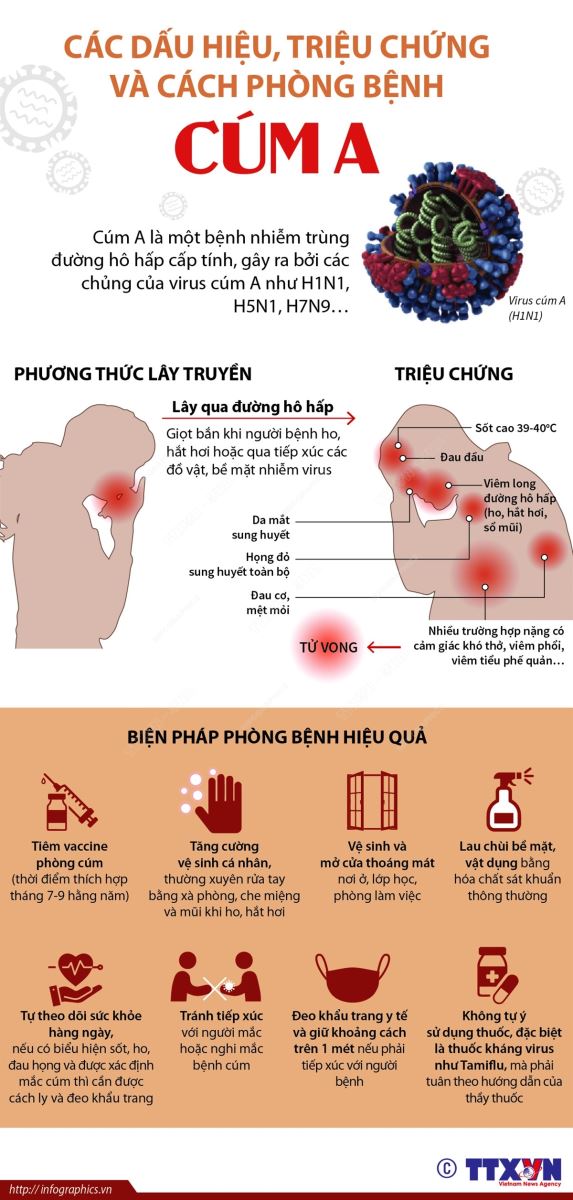 Dấu hiệu, triệu chứng và cách phòng bệnh cúm A. Bệnh cúm A. Cúm A.