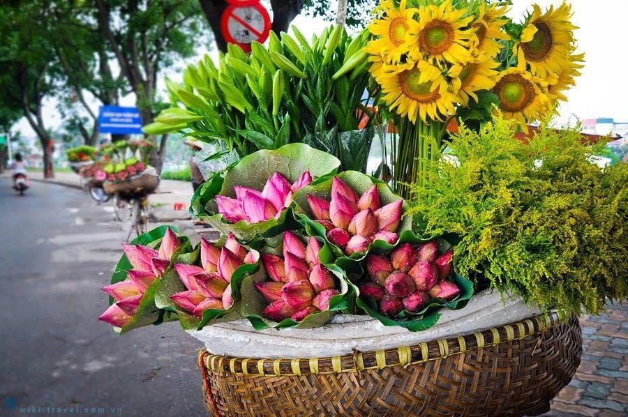 Không khí lạnh, Dự báo thời tiết, Gió mùa đông bắc, Thời tiết, Tin bão, Áp thấp nhiệt đới, khong khi lanh, tin thời tiết, nhiệt độ miền bắc, thời tiết ngày mai, áp thấp