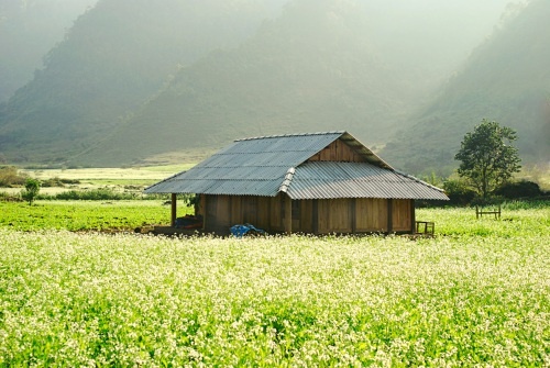 Dự báo thời tiết, thời tiết hôm nay, tin thời tiết, thời tiết cuối tuần, thời tiết chủ nhật, thời tiết hà nội, tin thời tiết mới nhất, thời tiết 10 ngày tới