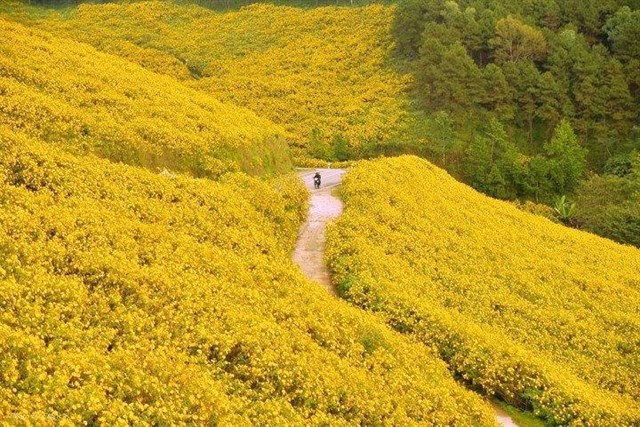 Dự báo thời tiết, Tin thời tiết, Tin bão, Không khí lạnh, Bão số 9, Tin bão mới, thời tiết ngày mai, thời tiết hôm nay, tin thời tiết, tin bão số 9, cơn bão số 9, bão