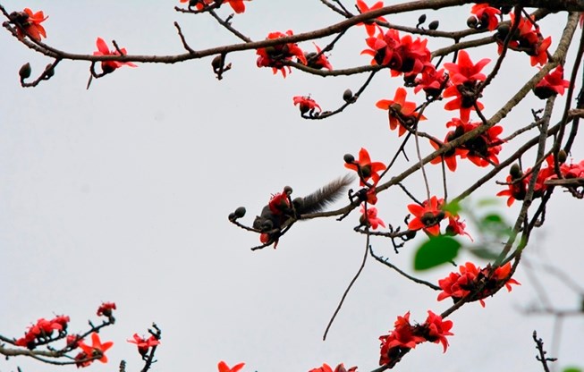 Dự báo thời tiết, Thời tiết hôm nay, Không khí lạnh, Tin thời tiết, Thời tiết, gió mùa đông bắc, dự báo thời tiết hôm nay, thời tiết hôm nay 25/3, tin thời tiết mới nhất