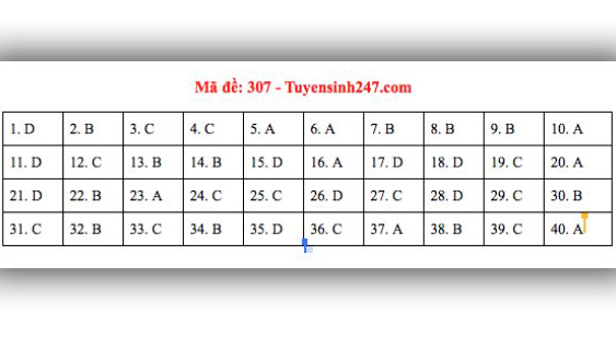 Đề thi lịch sử THPT Quốc gia 2019, Đề thi lịch sử THPT Quốc gia năm 2019, Đề thi lịch sử THPT Quốc gia, Đề thi Lý THPT Quốc gia, Đề thi môn sử, đề thi lịch sử, đáp án sử