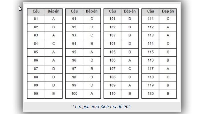 Đáp án Sinh THPT Quốc gia 2019, Đáp án Sinh THPT Quốc gia năm 2019, Đáp án Sinh, Đáp án môn sinh THPT Quốc gia, đáp án sinh thpt quốc gia, Đáp án môn sinh, đáp án sinh