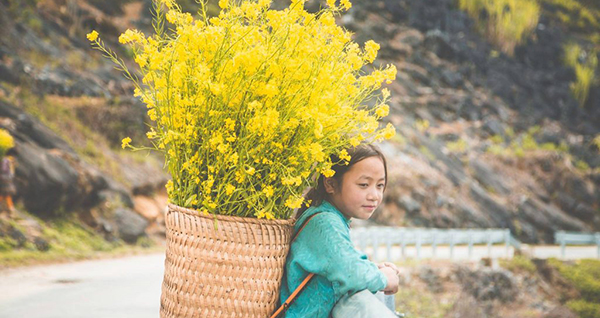 Lời chúc 20/10, Lời chúc 20 10, Lời chúc 20 tháng 10, Lời chúc 20/10 hay và ý nghĩa, loi chuc 20/10, Chúc mừng ngày phụ nữ Việt Nam, Lời Chúc ngày Phụ nữ Việt Nam, 20/10
