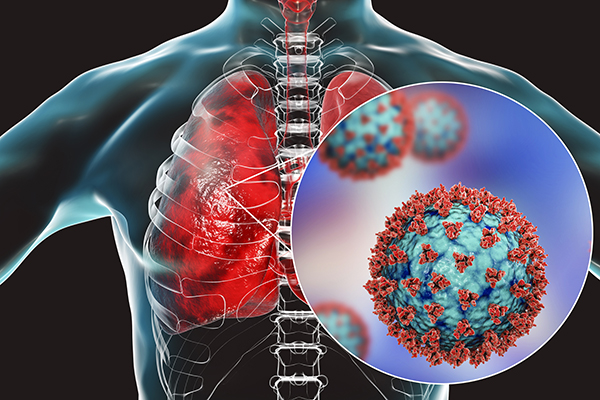 Virus SARS-CoV-2 và ảnh hưởng đến hệ thống sinh sản nam giới, Virus SARS-CoV-2