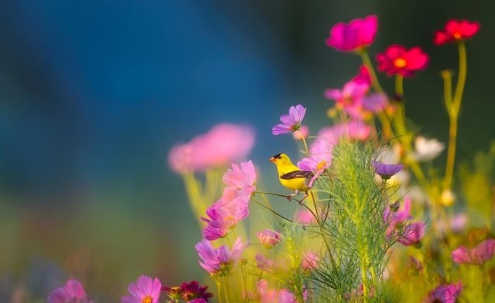 Ngày 6 tháng 9 năm 2022, Ngày 6/9/2022 tốt hay xấu, Xem ngày tốt, lịch âm 2022, lịch vạn niên ngày 6/9/2022, âm lịch hôm nay 6/9, Lịch vạn niên ngày 6 tháng 9