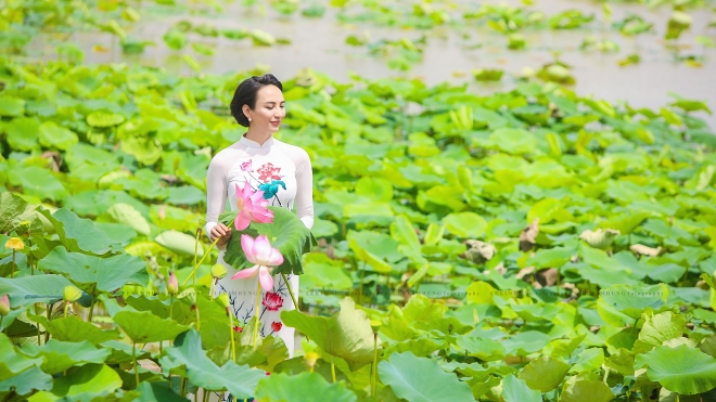 'Sen ngày mới' mang khát vọng Đồng Tháp vươn xa